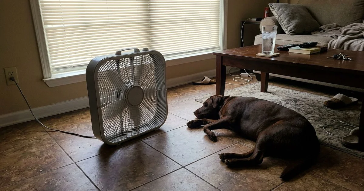 Box fan and closed blinds in a warm Foley living room with a dog on the tile floor