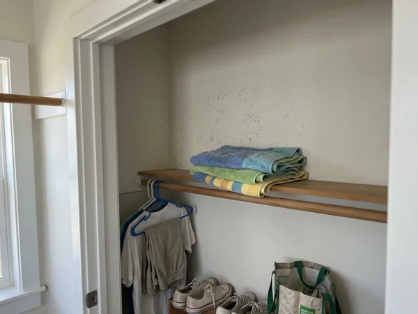 Mildew spots in a closet of a closed-up rental house